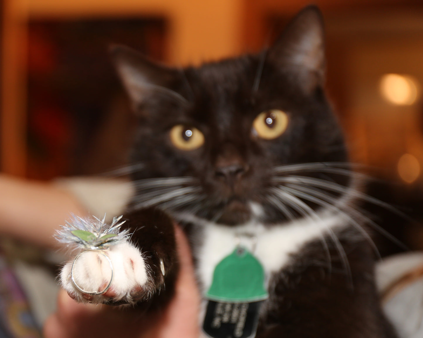 Cluster of Three Flower Rings