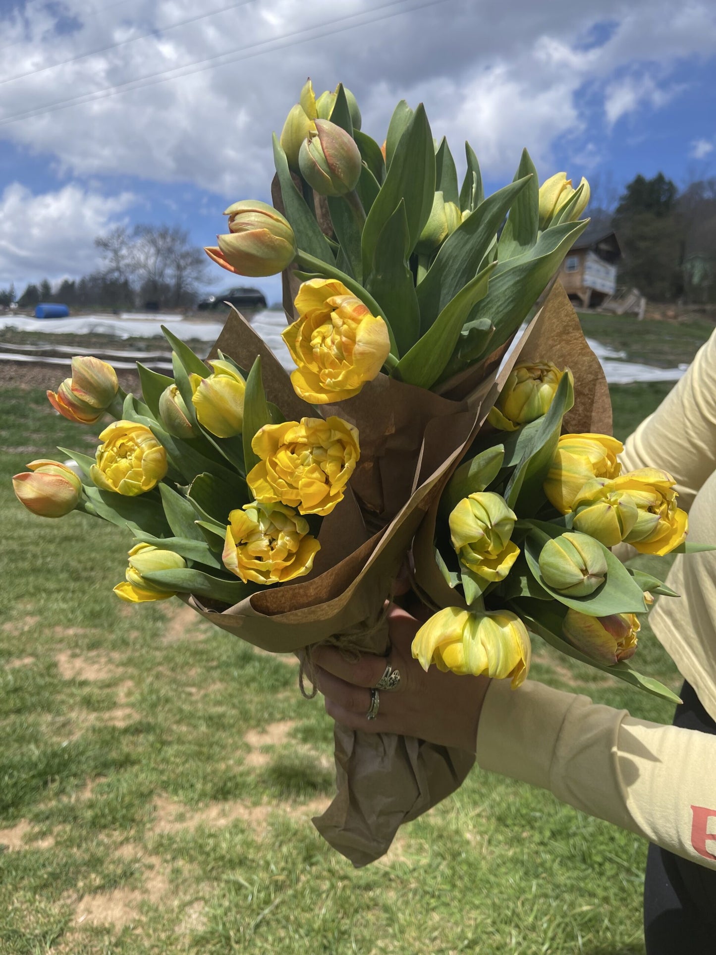 Spring Flower CSA Share